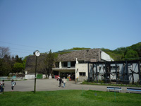 円山動物園園内の芝生